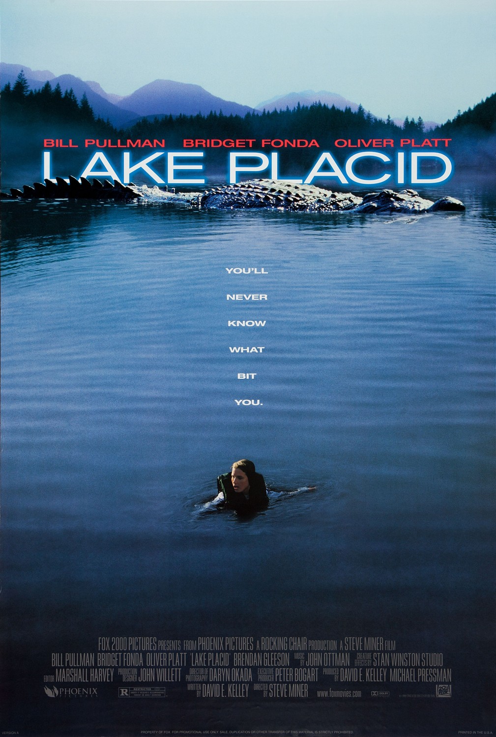 LAKE PLACID